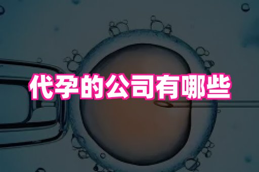 杭州助孕网 1