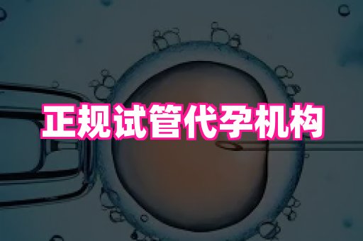 杭州助孕网 1