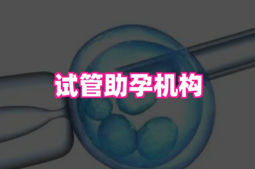 杭州助孕网 3