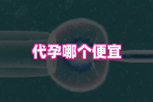 杭州助孕网 4