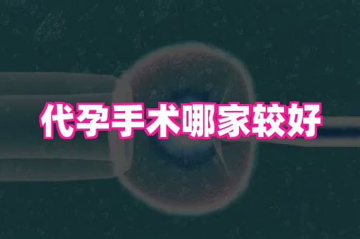 杭州助孕网 4